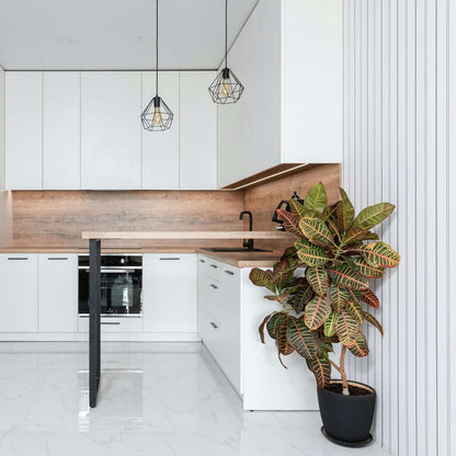 Other Green Houseplants Kroton - Codiaeum Variegatum 'Mrs. Iceton' - Höhe 140-150Cm - ⌀31Cm 