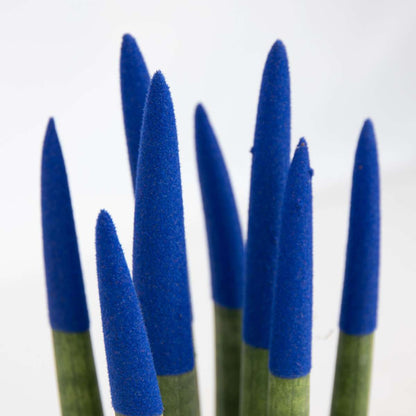 Sansevieria Zylindrischer Bogenhanf - Sansevieria Cylindrica - Höhe 20-40Cm - Topf 9Cm 