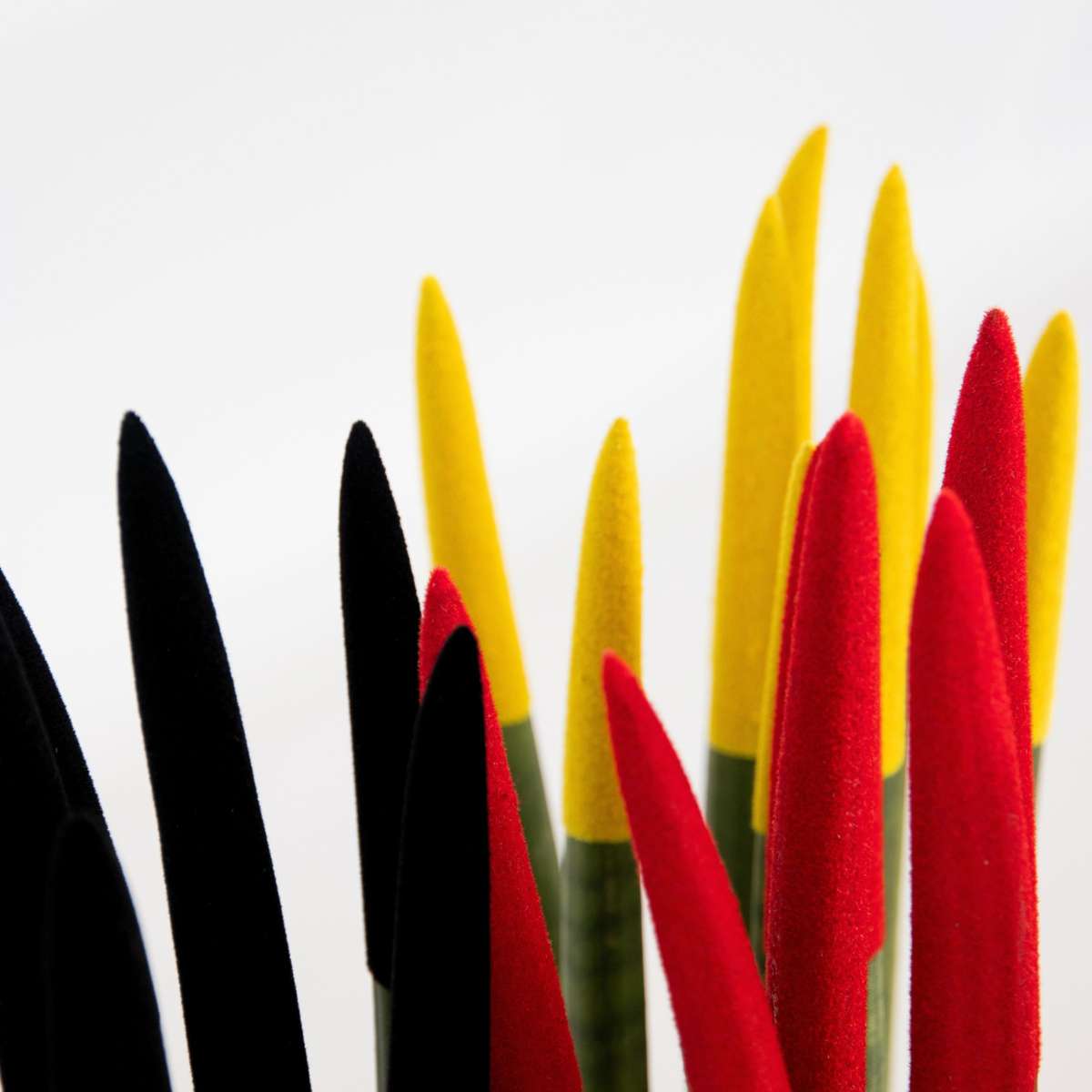 Sansevieria Zylindersansevieria - 3 Stk - Sansevieria Cylindrica - Höhe 20-40Cm - ⌀9Cm 