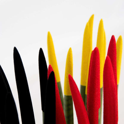 Sansevieria Zylindersansevieria - 3 Stk - Sansevieria Cylindrica - Höhe 20-40Cm - ⌀9Cm 