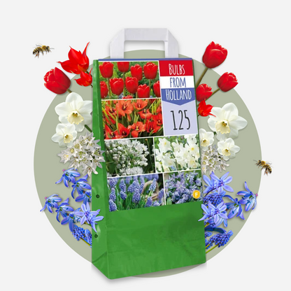 Bulb Mix Blumenzwiebelmischung - 125 Stk - Tulipa Narcissus Scilla Allium Muscari 