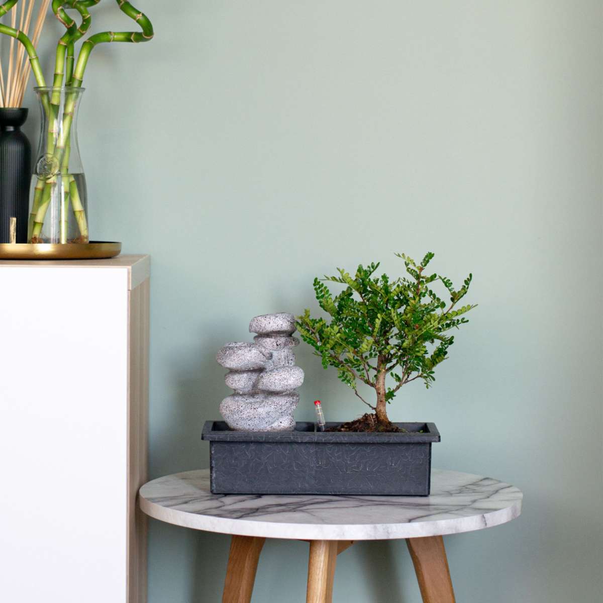 Other Green Houseplants Bonsaibaume - 2 Stk - Bonsai - Höhe 25-35Cm - ⌀29Cm 