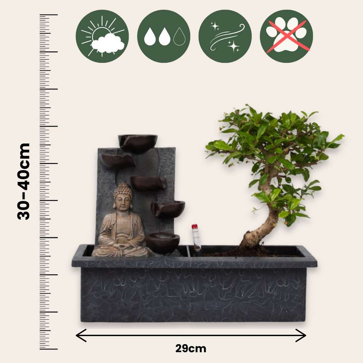 Other Green Houseplants Bonsaibaume - 2 Stk - Bonsai - Höhe 25-35Cm - ⌀29Cm 