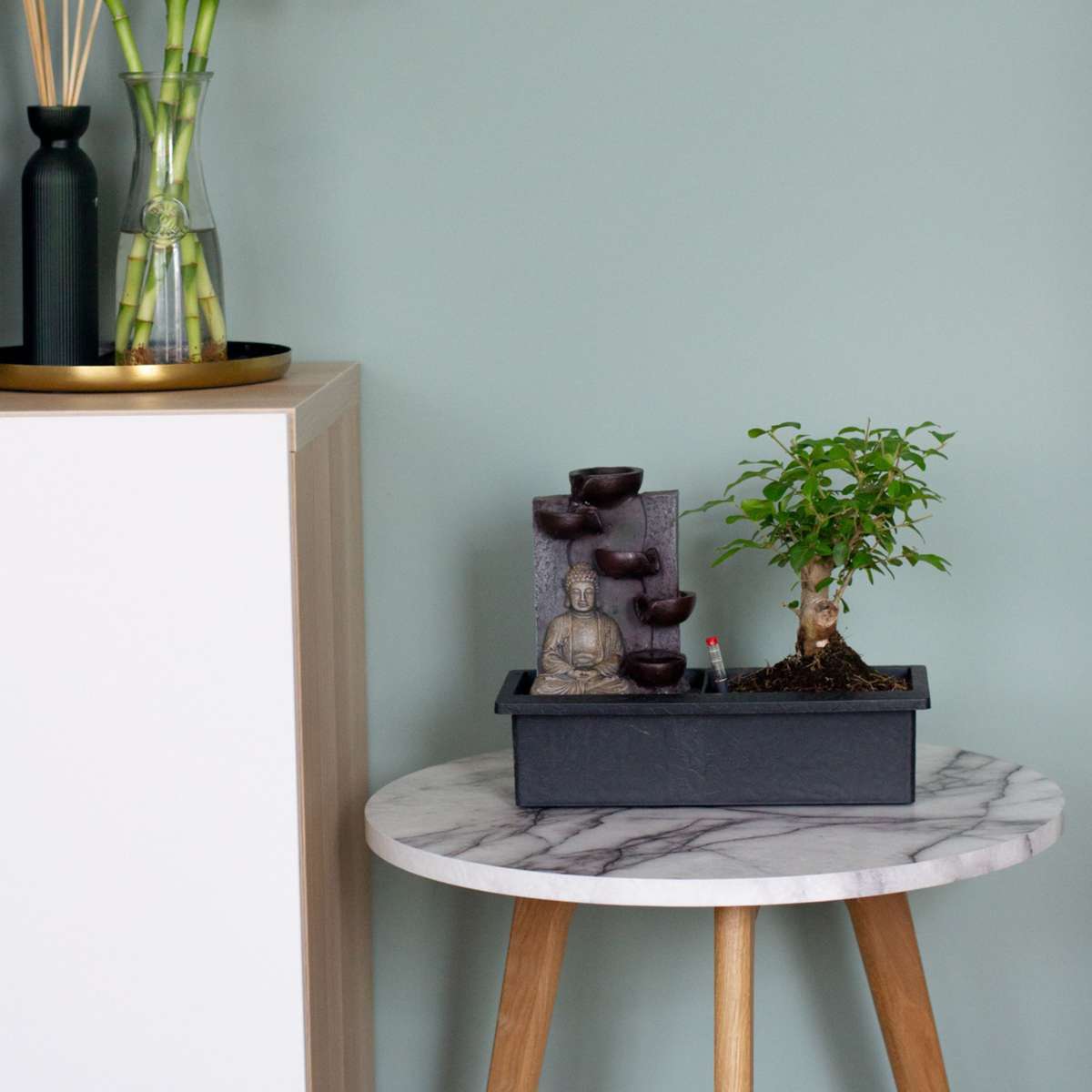 Other Green Houseplants Bonsaibaume - 2 Stk - Bonsai - Höhe 25-35Cm - ⌀29Cm 