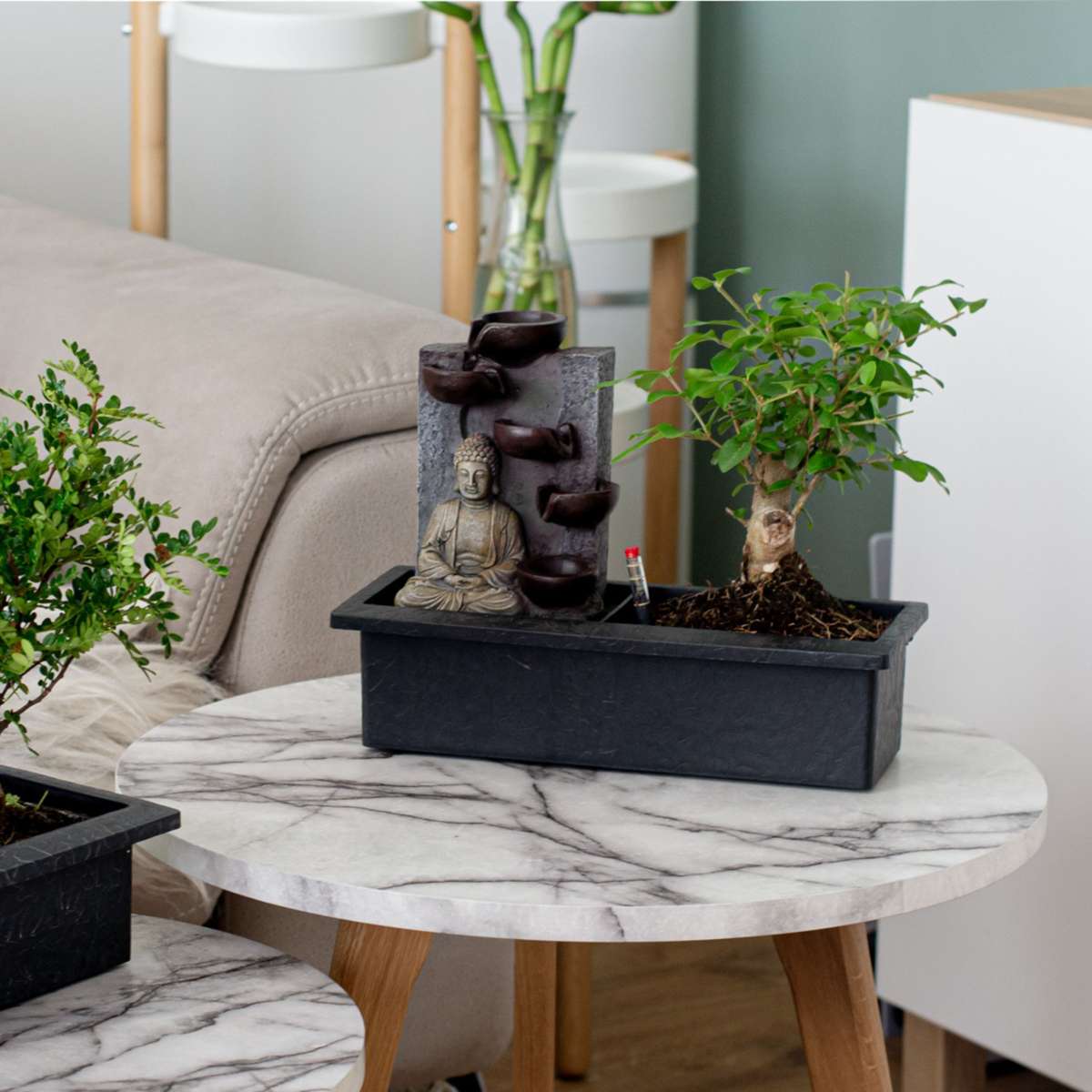 Bonsaibaume - Bonsai - Höhe 25-35Cm - ⌀29Cm 