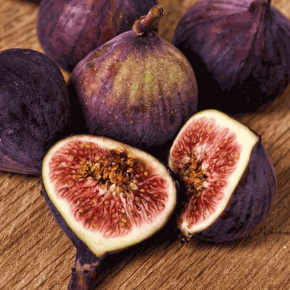 Fruit Trees Feigenbaum - 2 Stk - Ficus Carica - Höhe 70-90Cm - ⌀21Cm 