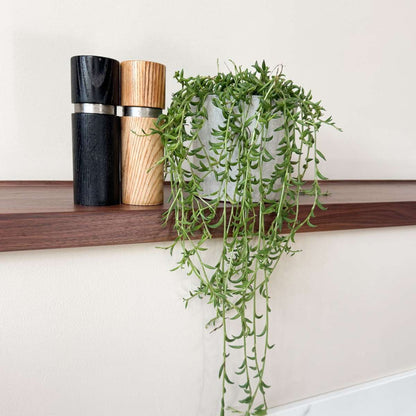 Hanging Plants Bananenschnur - Senecio Radicans - Höhe 10-20Cm - ⌀12Cm 