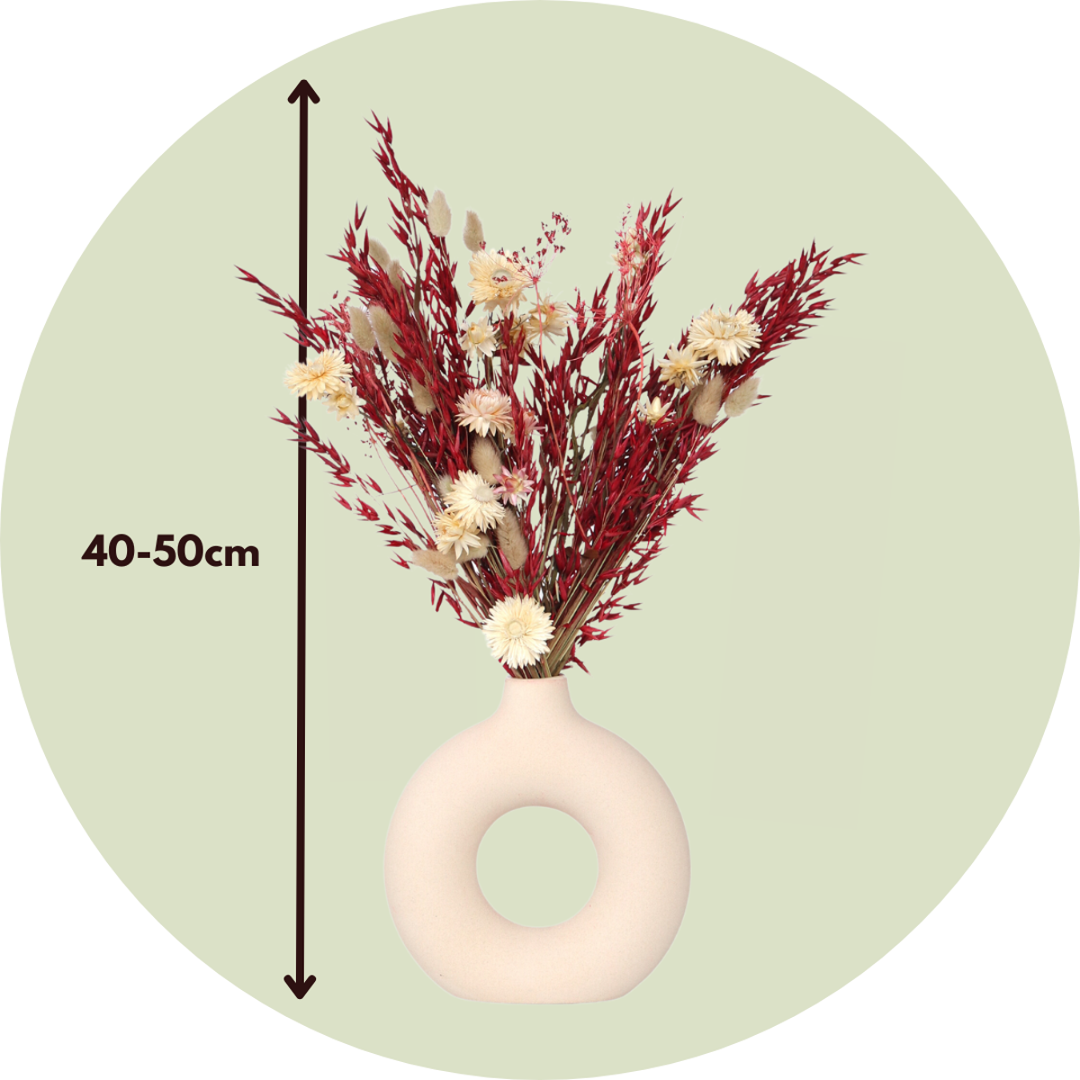 Dried Flowers Blumenstrauß 'Loose Fit Lady Bird' - Getrocknete Blumen - Höhe 50Cm 