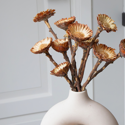 Dried Flowers Getrocknete Blumen - 10 Stk. - Strauß 'Protea Compacta' 