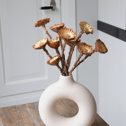 Dried Flowers Getrocknete Blumen - 10 Stk. - Strauß 'Protea Compacta' 