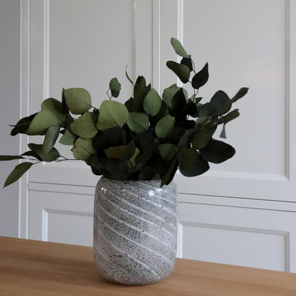 Dried Flowers Eucalyptus Stuartiana - Getrockneter Eukalyptus - Höhe 40-50 Cm 