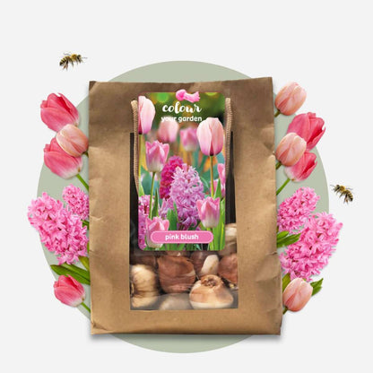 Other Types Of Flower Bulbs Blumenzwiebeln 'Pink Blush' - 25 Stk - Tulipa, Hyacinthus - Rosa 