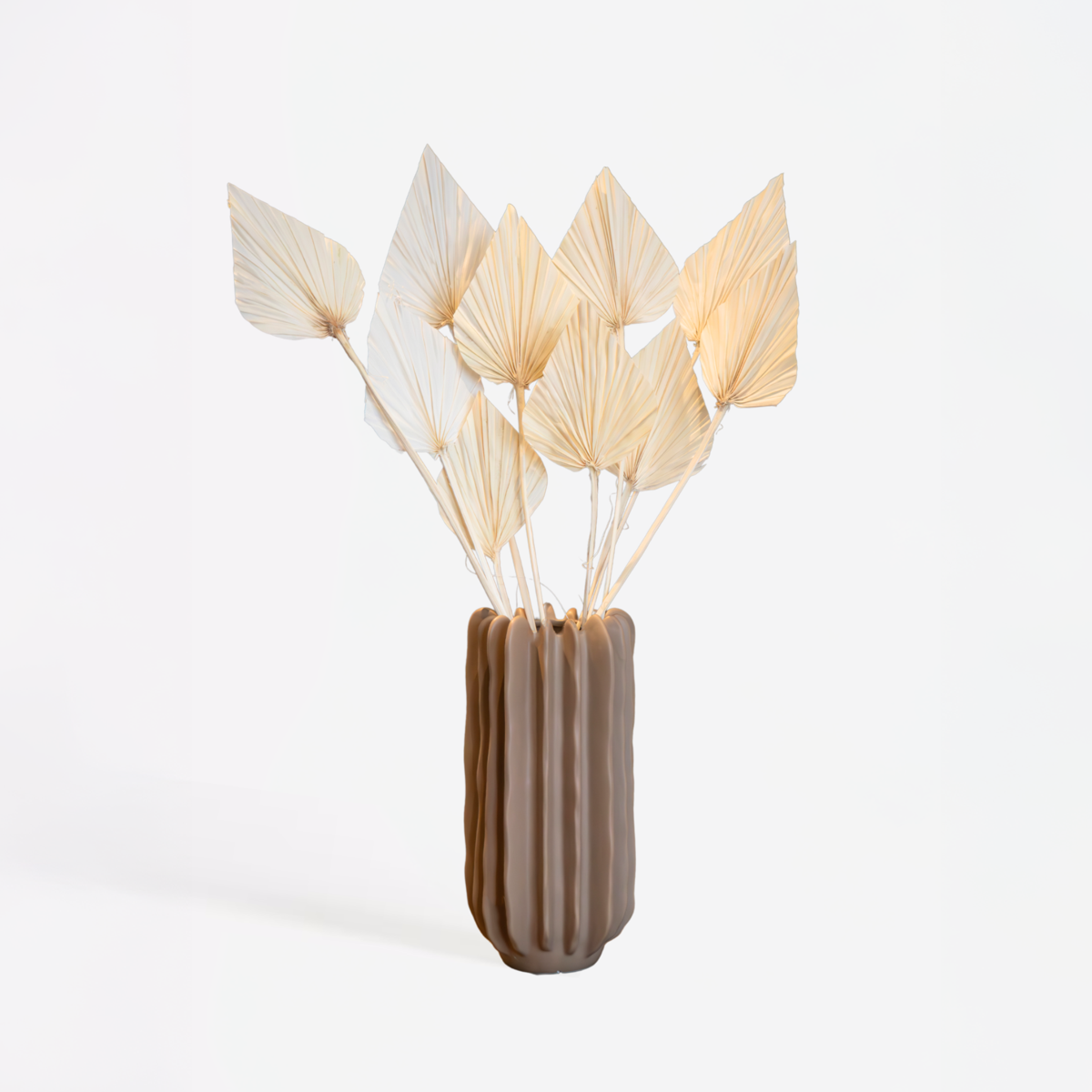 Dried Flowers Getrocknete Blumen - 10 Stk. - Strauß 'Palmspear Bleached White' 