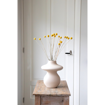 Dried Flowers Getrocknete Blumen - Strauß 'Craspedia Natural Yellow' 