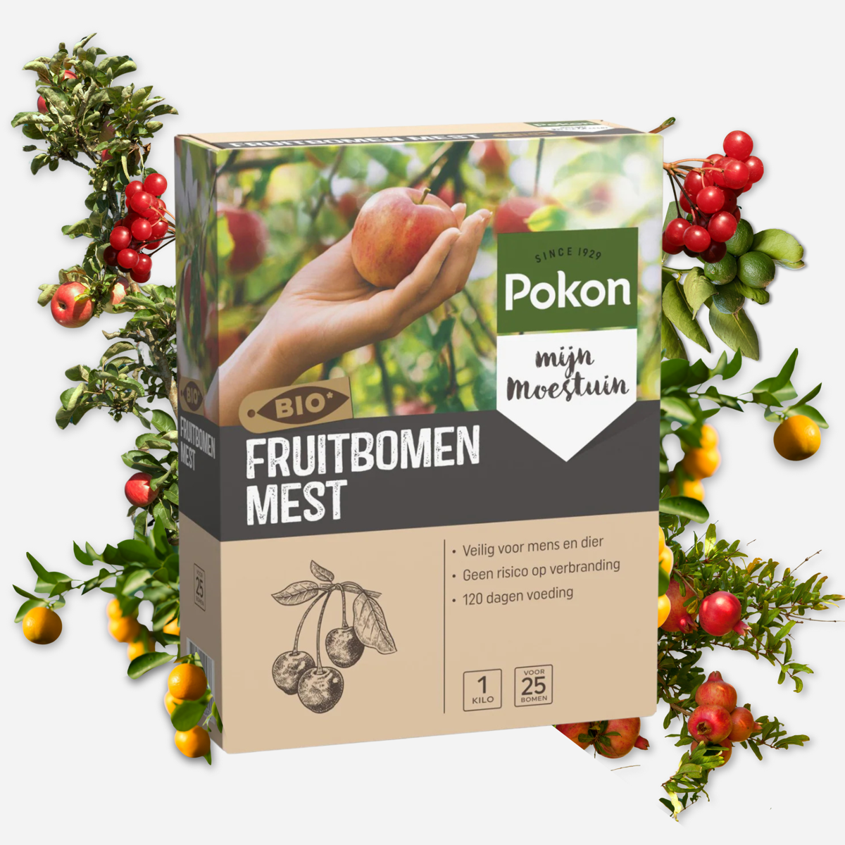 Plant Food Pokon Bio-Obstbaumdünger - 1 Kg 