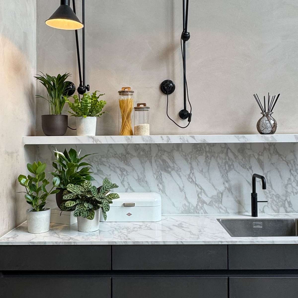 Other Green Houseplants Luftreinigende Zimmerpflanzen - 5 Stk - Höhe 25-40Cm - ⌀12Cm 