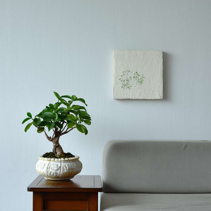 Blooming Houseplants Wüstenrose - 2 Stk - Adenium Obesum - Höhe 25-40Cm - ⌀11Cm 