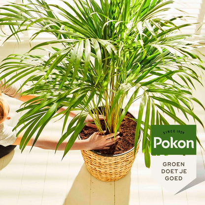 Plant Food Pokon Flüssiges Pflanzenfutter – Palmen – 250 Ml 