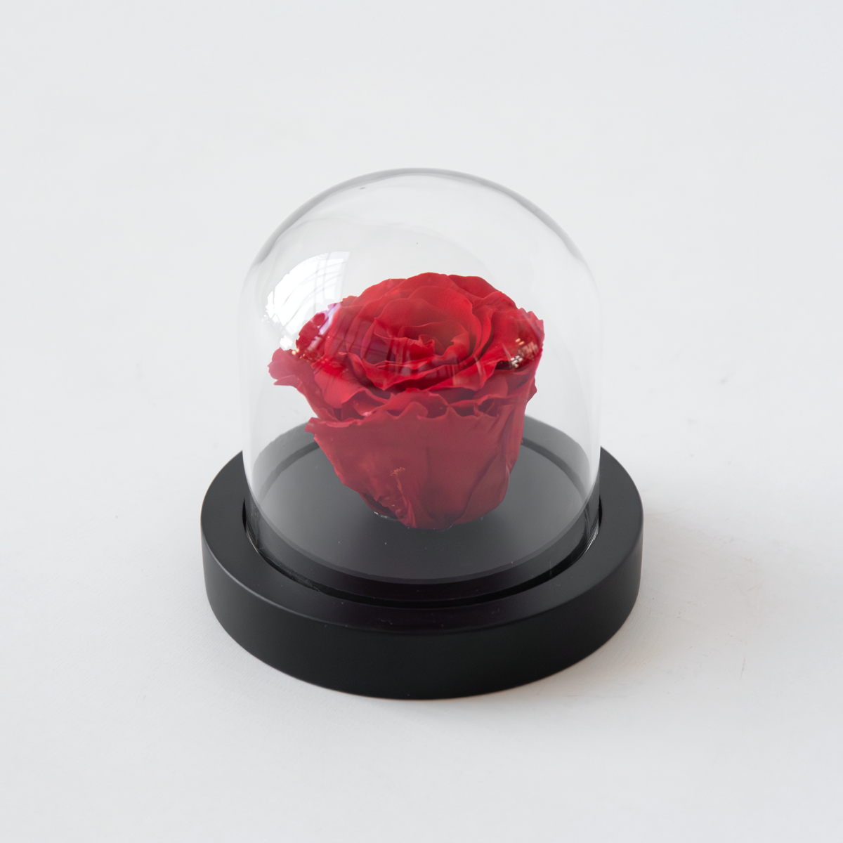 Dried Flowers Konservierte Rote Rose Unter Glaskuppel - Echte Rose - Luxuriöses Geschenk 