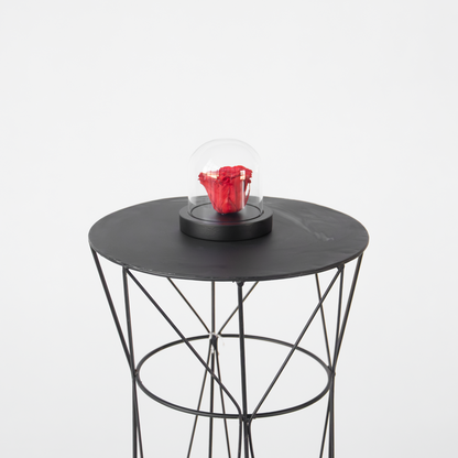 Dried Flowers Konservierte Rote Rose Unter Glaskuppel - Echte Rose - Luxuriöses Geschenk 