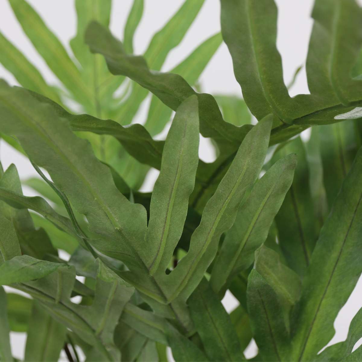 Artificial Plants Künstliches Phlebodium – Höhe 80Cm 