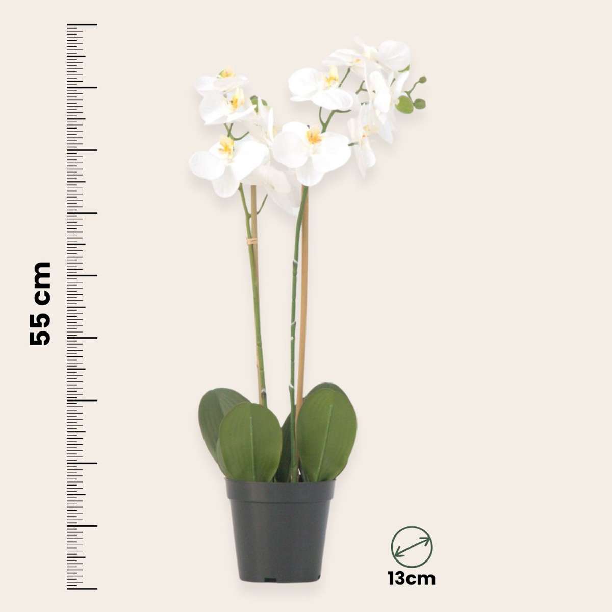Artificial Plants Künstliche Phalaenopsis-Orchidee – Höhe 55Cm 