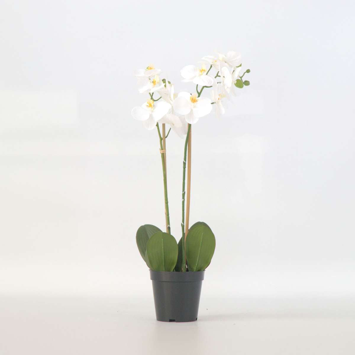 Artificial Plants Künstliche Phalaenopsis-Orchidee – Höhe 55Cm 