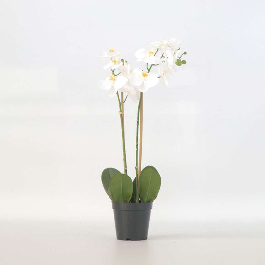 Artificial Plants Künstliche Phalaenopsis-Orchidee – Höhe 55Cm 