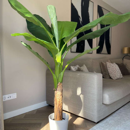Artificial Plants Künstliche Musa-Bananenpflanze – Höhe 150Cm 