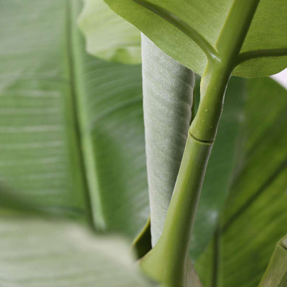 Artificial Plants Künstliche Musa-Bananenpflanze – Höhe 150Cm 