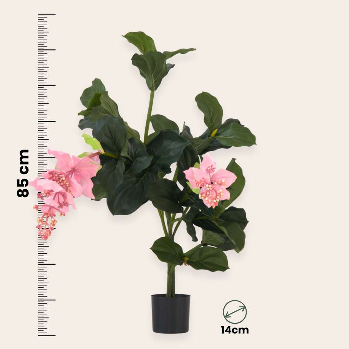 Artificial Plants Künstliche Medinilla Magnifica – Höhe 85Cm 