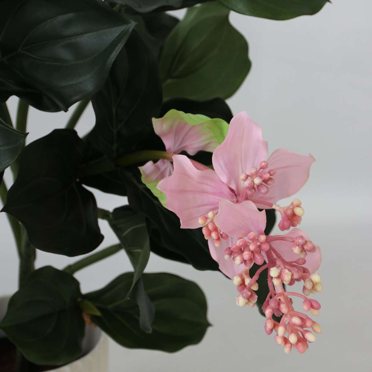 Artificial Plants Künstliche Medinilla Magnifica – Höhe 85Cm 