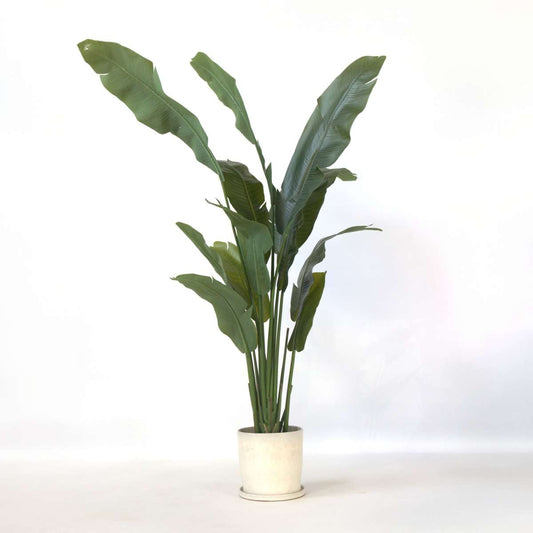 Artificial Plants Künstliche Strelitzie – Höhe 160Cm 