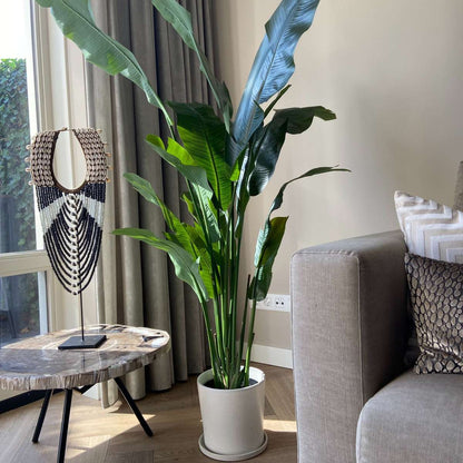 Artificial Plants Künstliche Strelitzie – Höhe 160Cm 