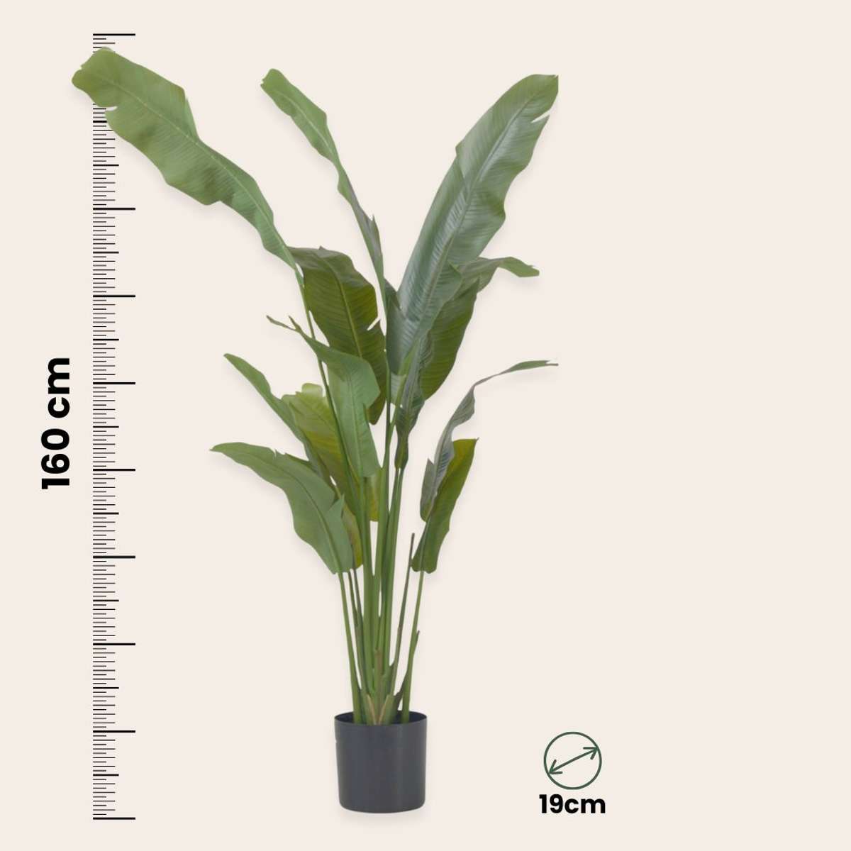 Artificial Plants Künstliche Strelitzie – Höhe 160Cm 