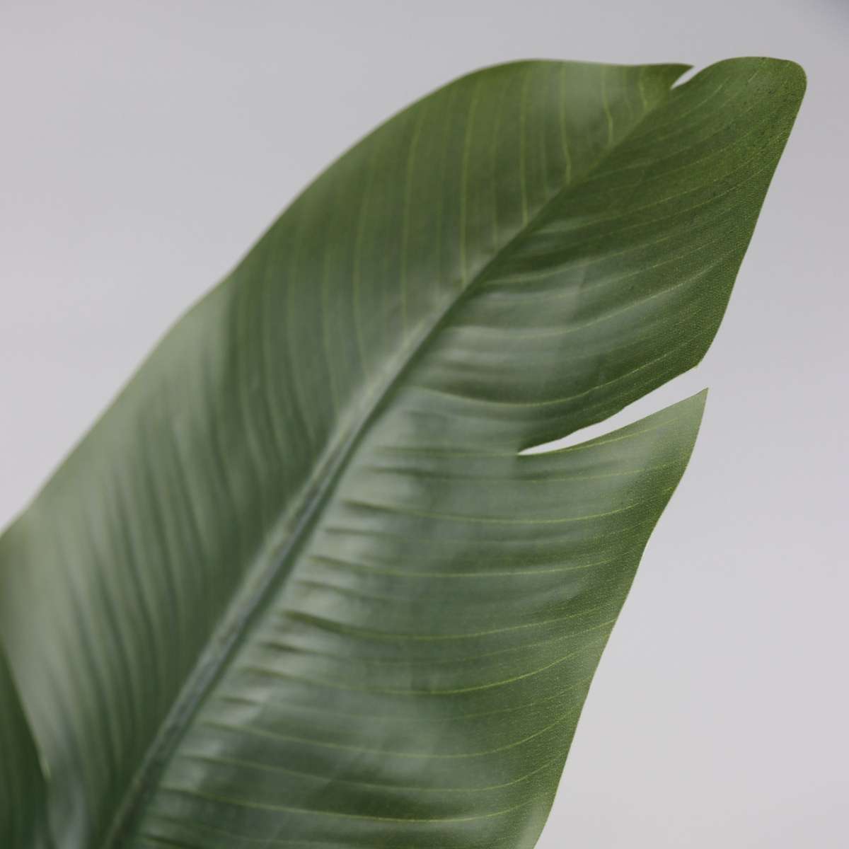 Artificial Plants Künstliche Strelitzie – Höhe 160Cm 