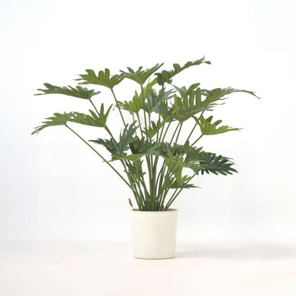 Artificial Plants Künstlicher Philodendron „Selloum“ – Höhe 65Cm 