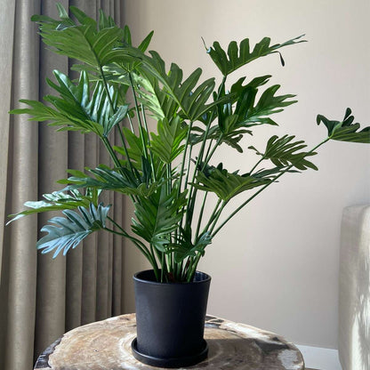 Artificial Plants Künstlicher Philodendron „Selloum“ – Höhe 65Cm 
