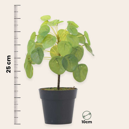 Artificial Plants Künstliche Pilea Peperomioides – Höhe 25Cm 