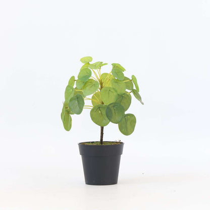 Artificial Plants Künstliche Pilea Peperomioides – Höhe 25Cm 