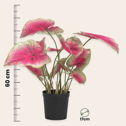 Artificial Plants Künstliche Caladium – Höhe 60Cm 