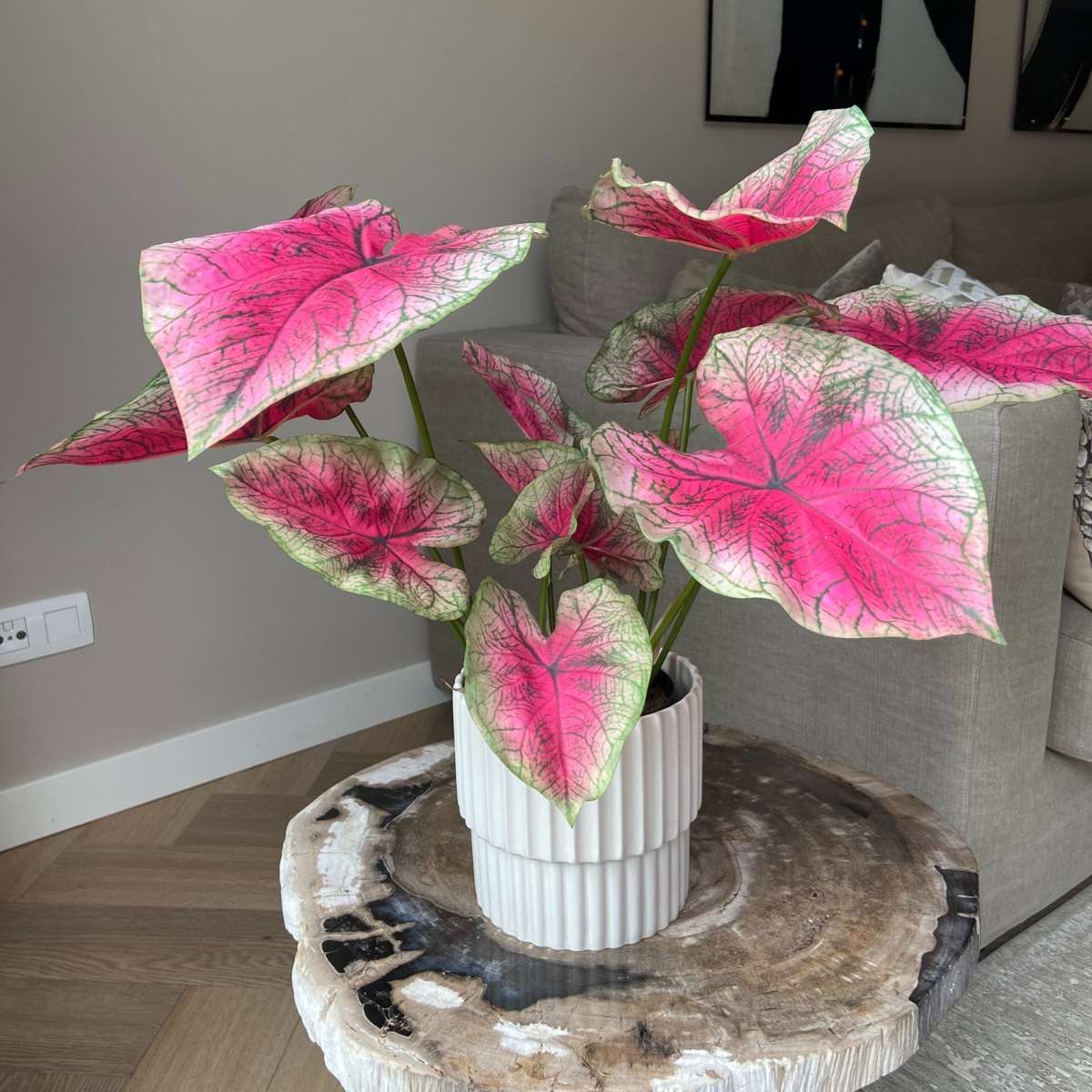 Artificial Plants Künstliche Caladium – Höhe 60Cm 