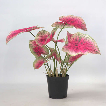 Artificial Plants Künstliche Caladium – Höhe 60Cm 