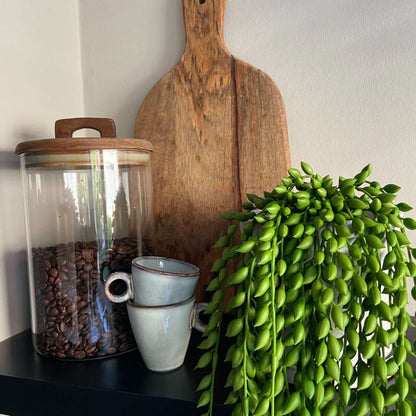 Artificial Plants Künstlicher Senecio – Höhe 90Cm 