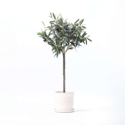 Artificial Plants Künstlicher Olivenbaum – Höhe 65Cm 