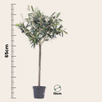 Artificial Plants Künstlicher Olivenbaum – Höhe 65Cm 
