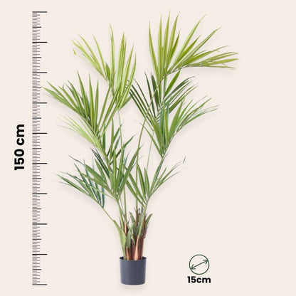 Artificial Plants Künstliche Kentia – Höhe 150Cm 