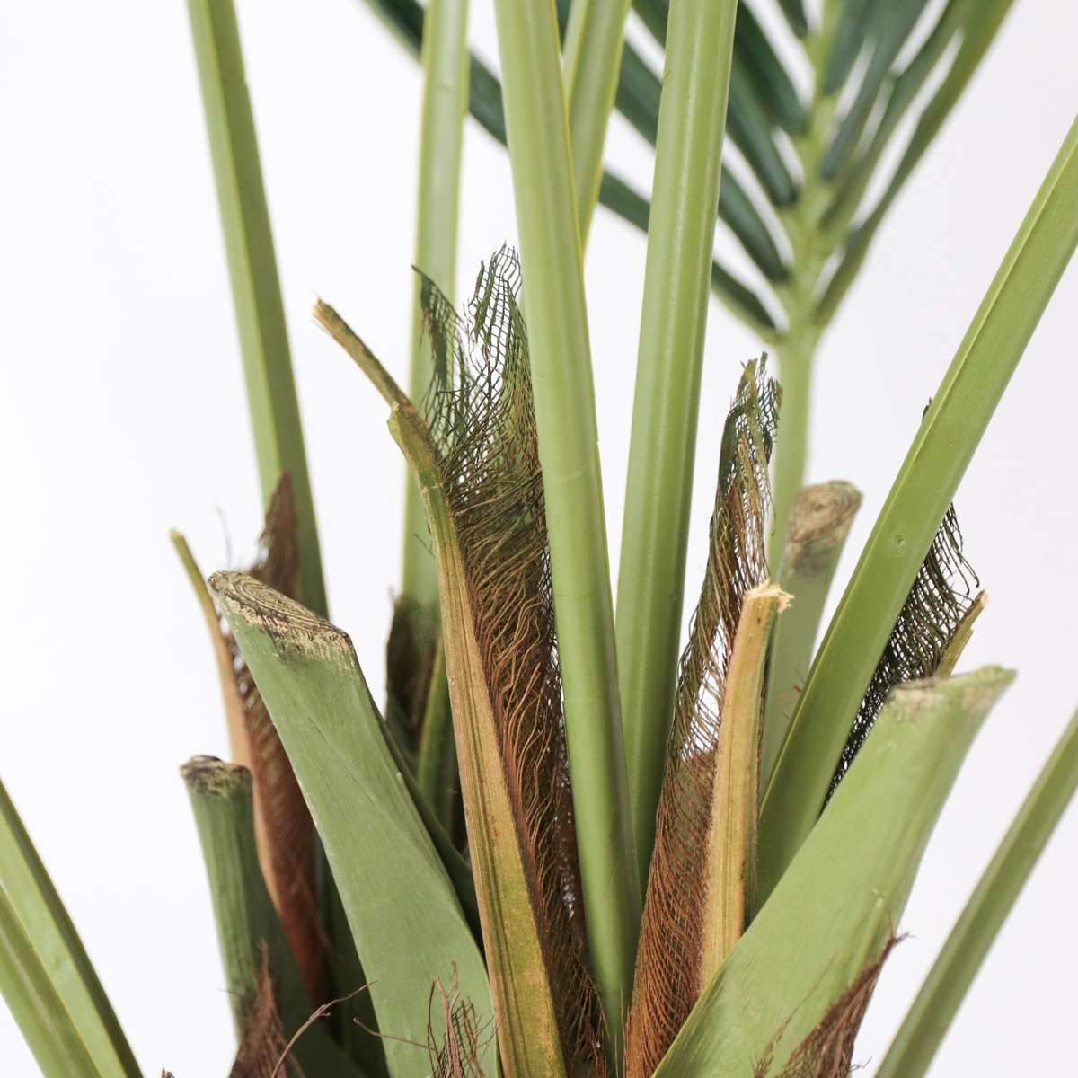 Artificial Plants Künstliche Kentia – Höhe 150Cm 