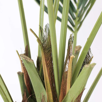 Artificial Plants Künstliche Kentia – Höhe 150Cm 