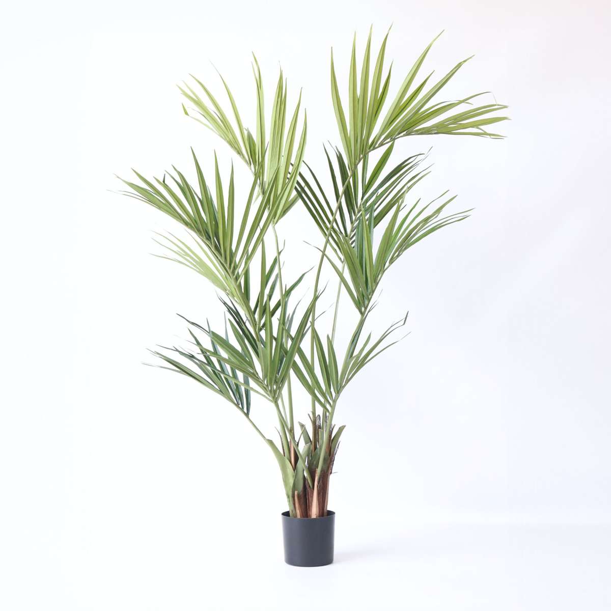 Artificial Plants Künstliche Kentia – Höhe 150Cm 